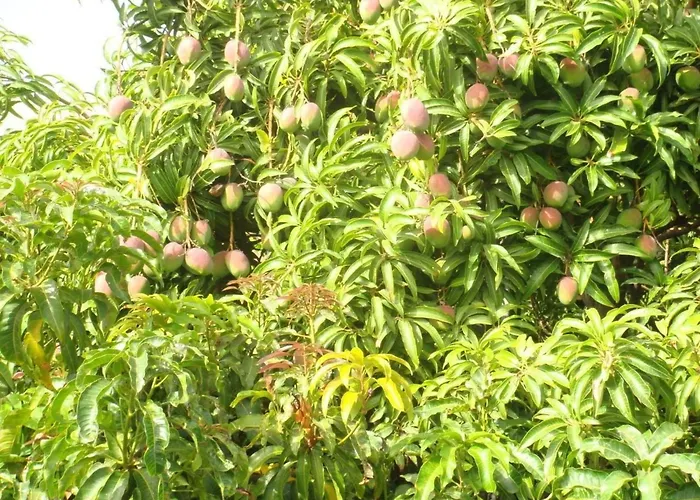 Business In By Interhome Appartamento