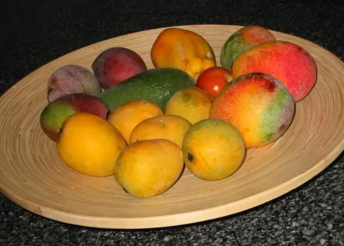 Business In By Interhome Apartman *